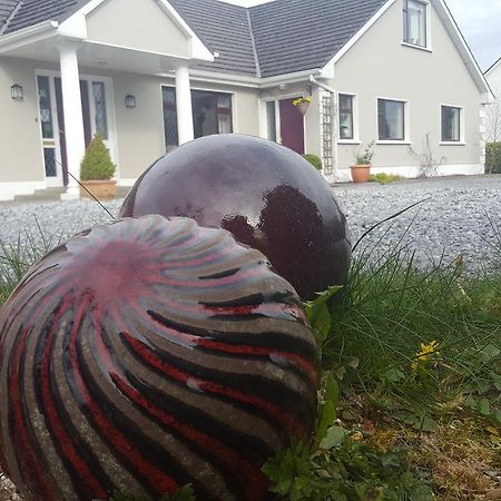 Ely House B&B Shannonbridge 外观 照片