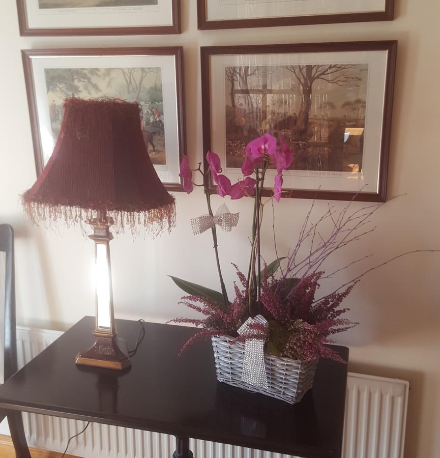 Ely House B&B Shannonbridge 外观 照片