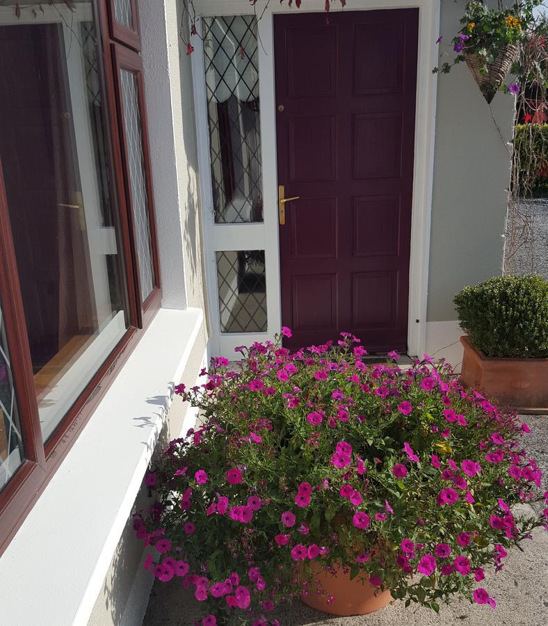 Ely House B&B Shannonbridge 外观 照片