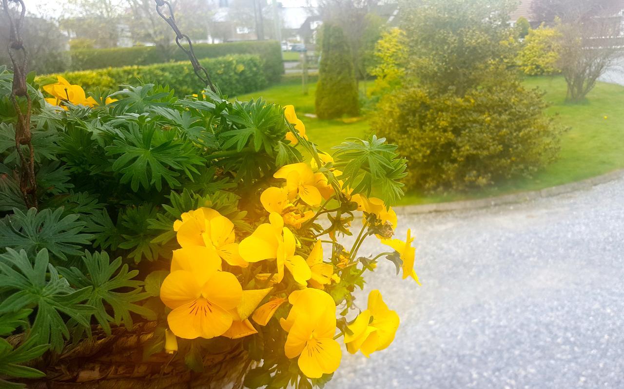 Ely House B&B Shannonbridge 外观 照片